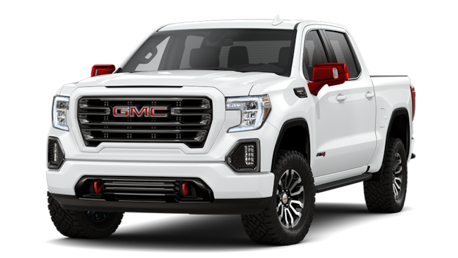 Automotive Door Mirrors Paint Protection Service